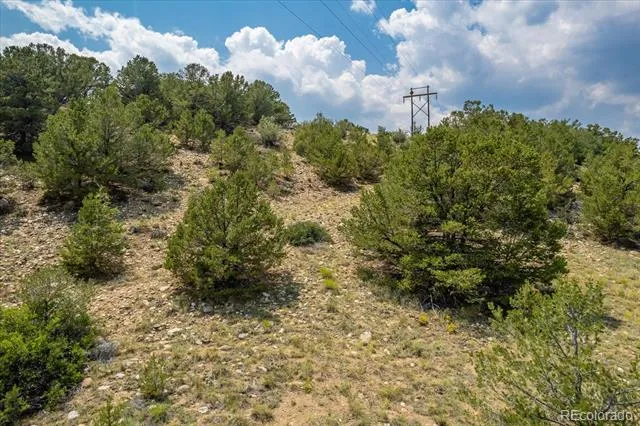 7921 Cozart Lane Salida, CO 81201