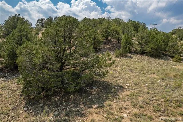 7921 Cozart Lane Salida, CO 81201