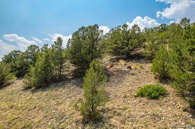 7921 Cozart Lane Salida, CO 81201
