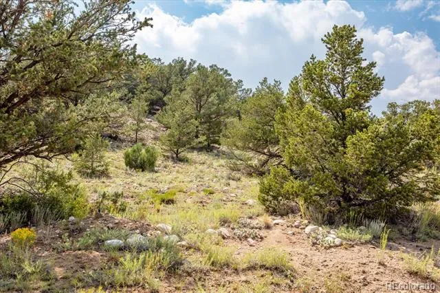 7921 Cozart Lane Salida, CO 81201
