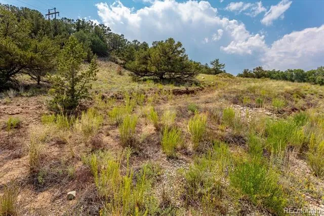7921 Cozart Lane Salida, CO 81201
