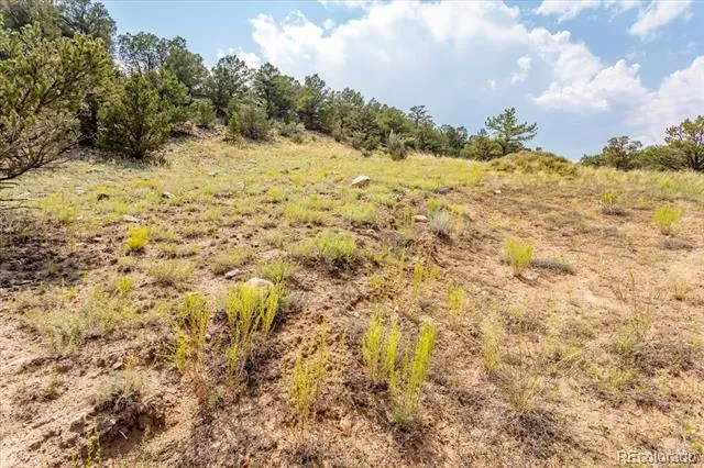 7921 Cozart Lane Salida, CO 81201