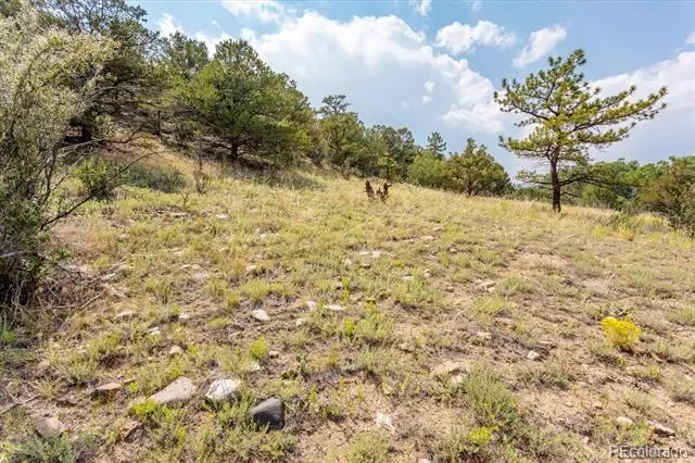 7921 Cozart Lane Salida, CO 81201