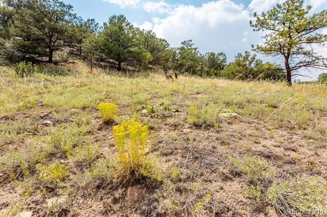 7921 Cozart Lane Salida, CO 81201