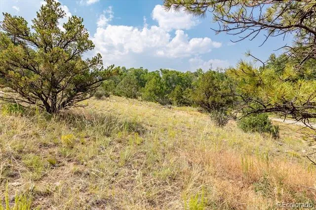 7921 Cozart Lane Salida, CO 81201