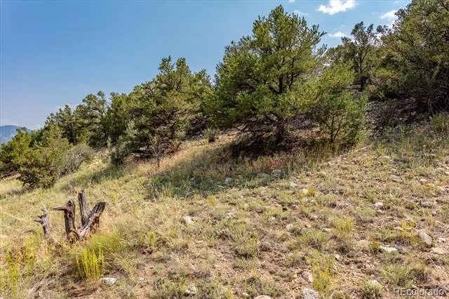 7921 Cozart Lane Salida, CO 81201