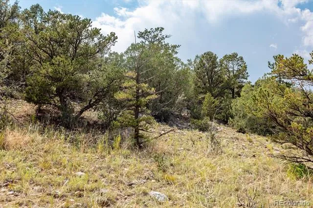 7921 Cozart Lane Salida, CO 81201