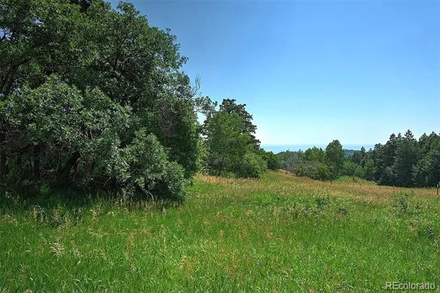 13884 Trail Circle Littleton, CO 80127