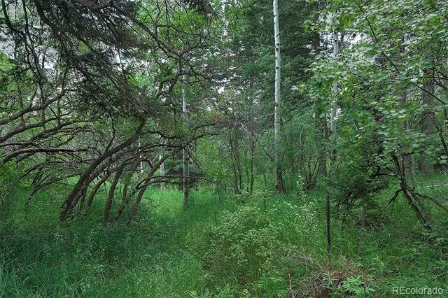 13884 Trail Circle Littleton, CO 80127