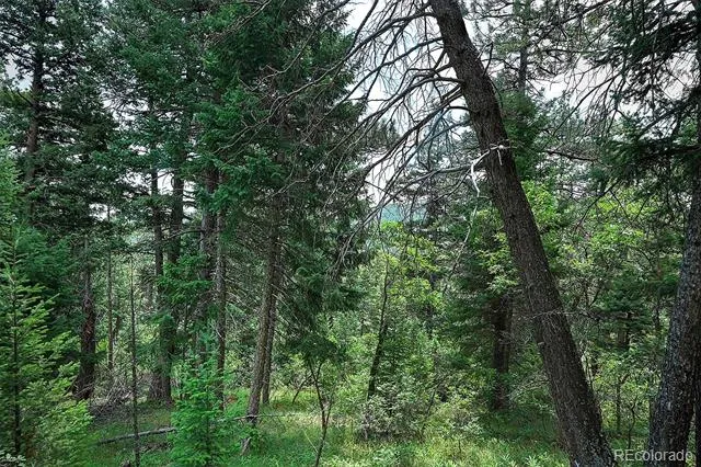 13884 Trail Circle Littleton, CO 80127