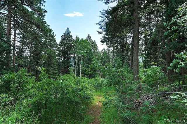13884 Trail Circle Littleton, CO 80127
