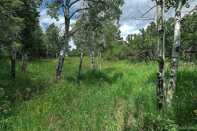 13884 Trail Circle Littleton, CO 80127