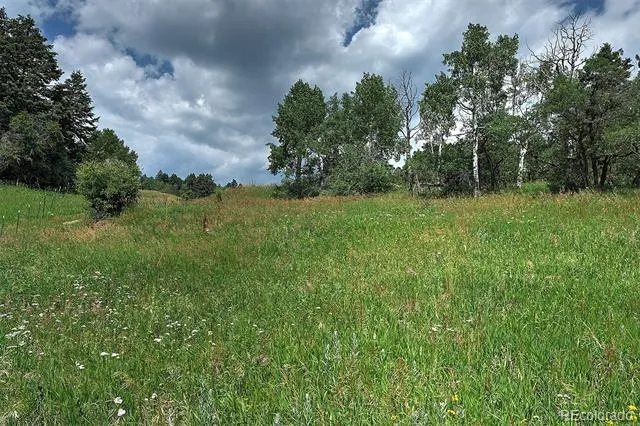13884 Trail Circle Littleton, CO 80127