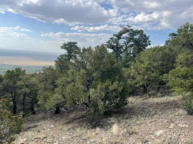 314 Arrastre Road Mosca, CO 81146