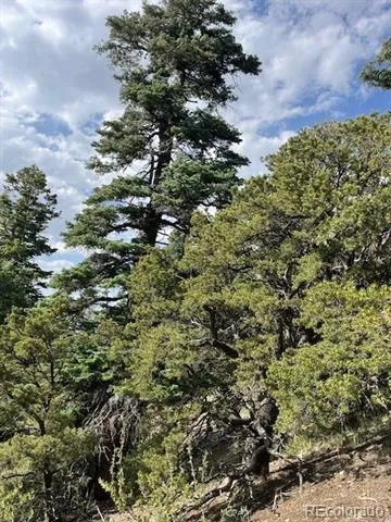 314 Arrastre Road Mosca, CO 81146