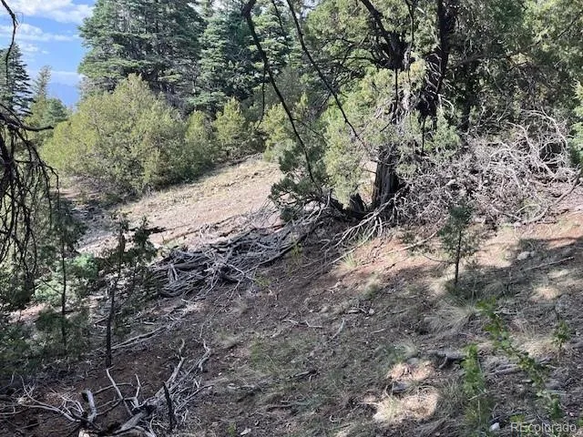 314 Arrastre Road Mosca, CO 81146