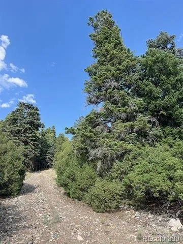 314 Arrastre Road Mosca, CO 81146