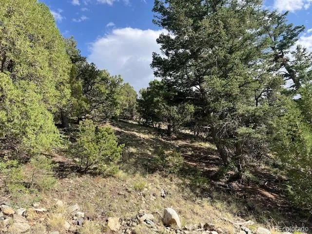 314 Arrastre Road Mosca, CO 81146