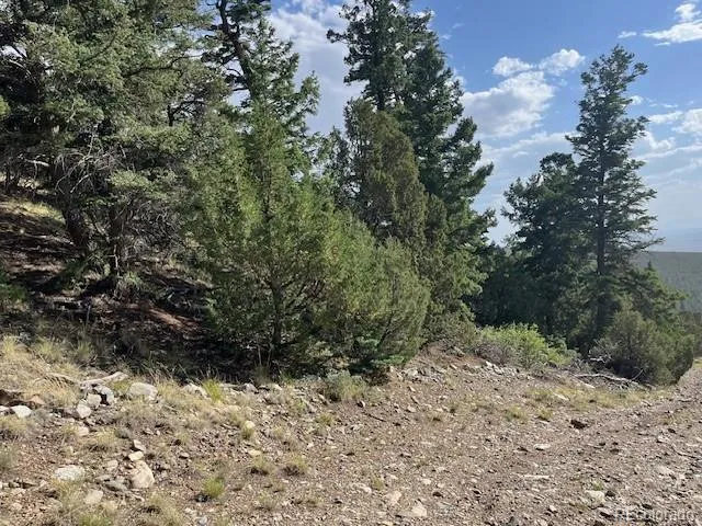 314 Arrastre Road Mosca, CO 81146