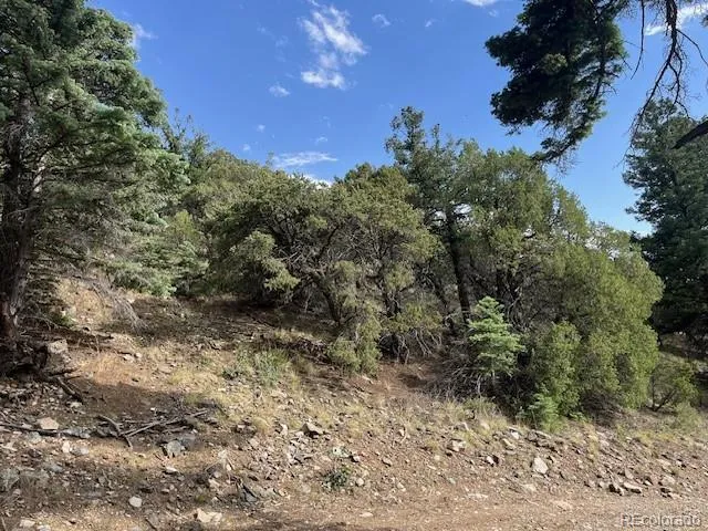 314 Arrastre Road Mosca, CO 81146