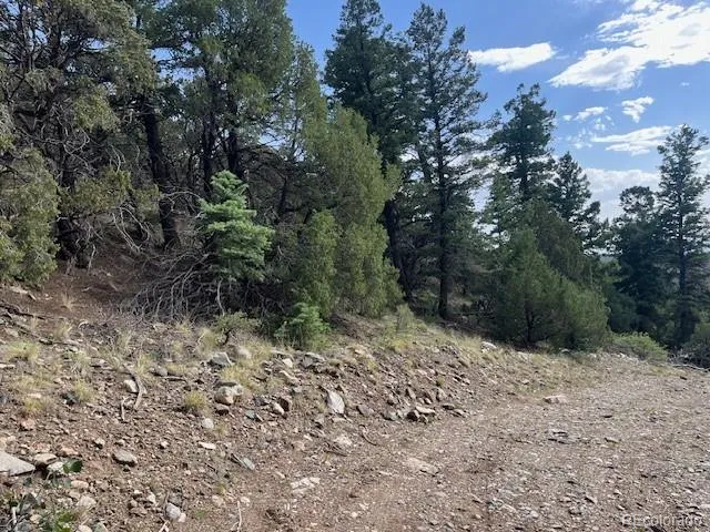 314 Arrastre Road Mosca, CO 81146