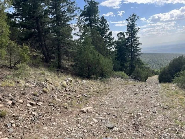 314 Arrastre Road Mosca, CO 81146