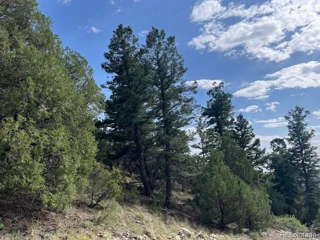 314 Arrastre Road Mosca, CO 81146