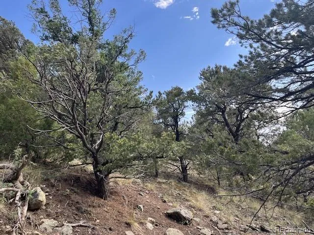 314 Arrastre Road Mosca, CO 81146
