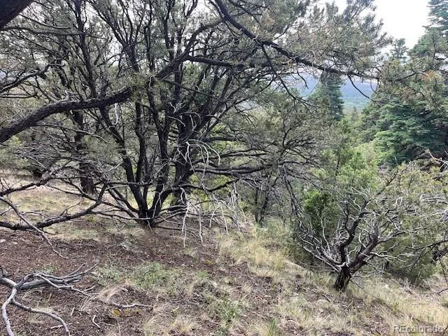 314 Arrastre Road Mosca, CO 81146