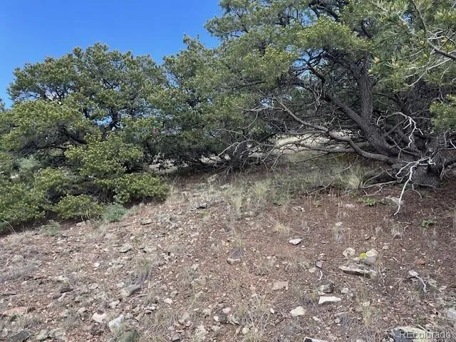 314 Arrastre Road Mosca, CO 81146