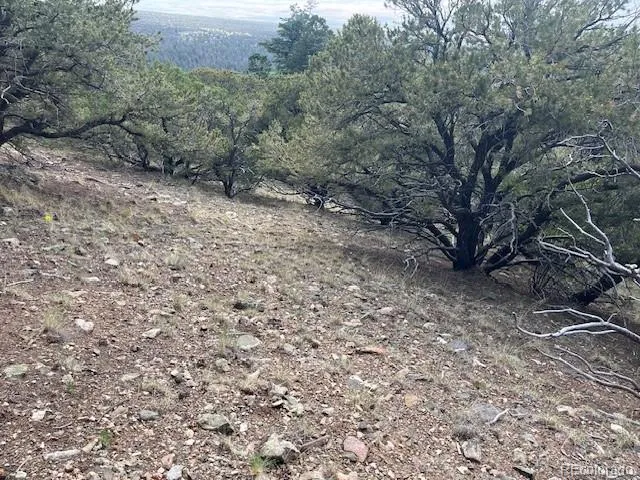 314 Arrastre Road Mosca, CO 81146