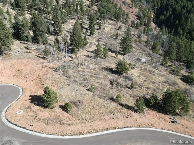 17 Blue Haven Place Woodland Park, CO 80863
