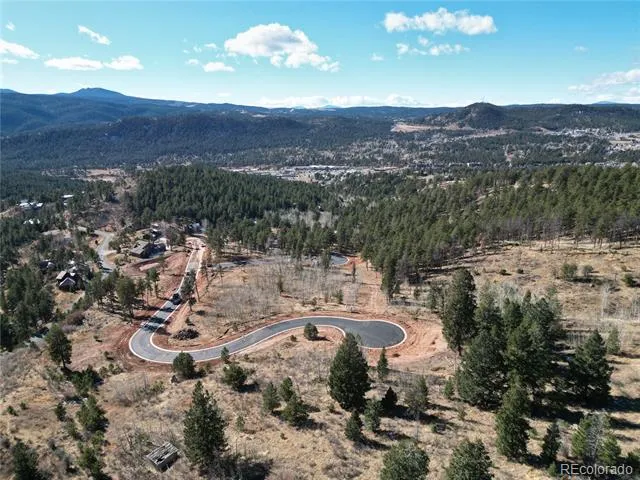 17 Blue Haven Place Woodland Park, CO 80863