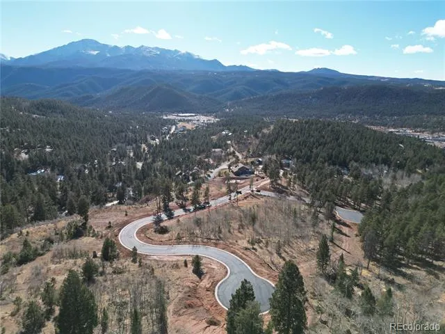 17 Blue Haven Place Woodland Park, CO 80863