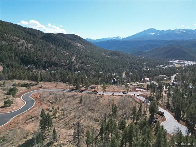 17 Blue Haven Place Woodland Park, CO 80863