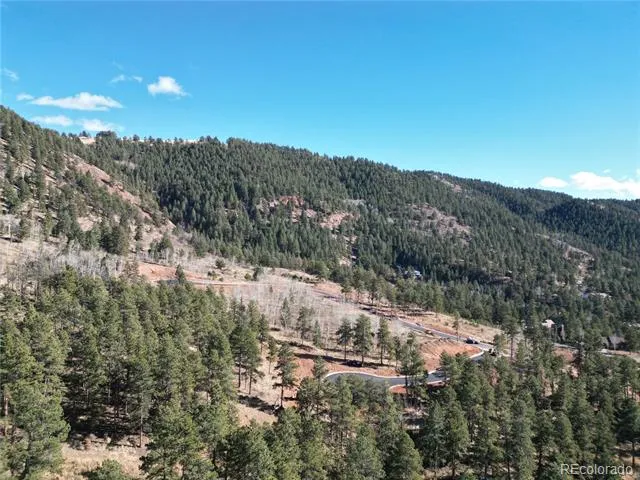 17 Blue Haven Place Woodland Park, CO 80863