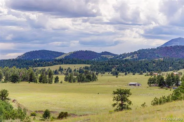 212 Skyhawk Lane Guffey, CO 80820