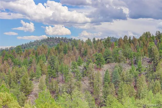 212 Skyhawk Lane Guffey, CO 80820