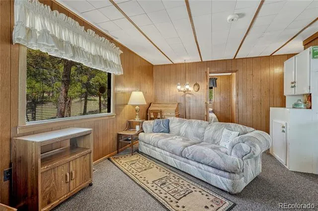 101 Dunlap Drive Florissant, CO 80816