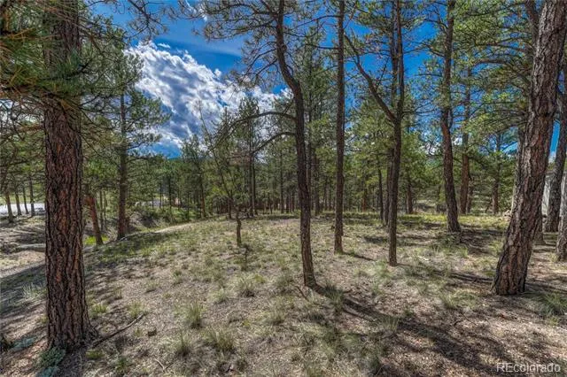 101 Dunlap Drive Florissant, CO 80816