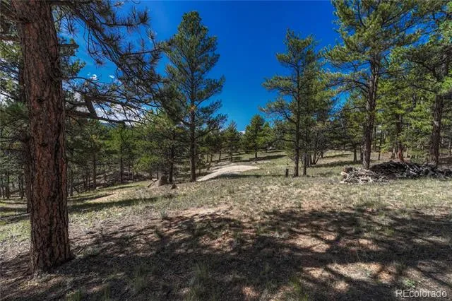 101 Dunlap Drive Florissant, CO 80816