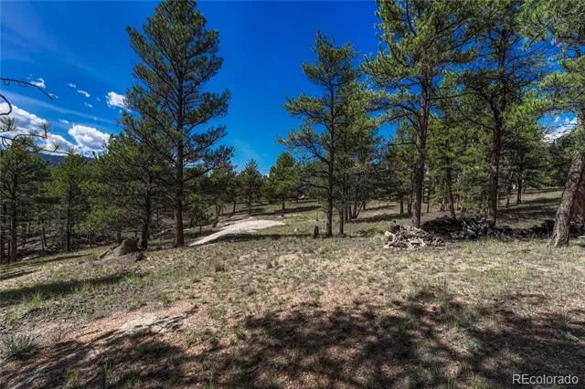 101 Dunlap Drive Florissant, CO 80816