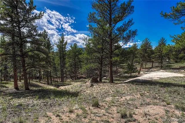 101 Dunlap Drive Florissant, CO 80816
