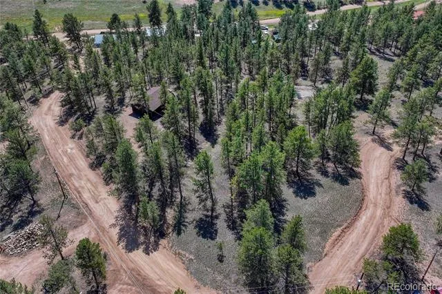 101 Dunlap Drive Florissant, CO 80816