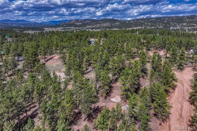 101 Dunlap Drive Florissant, CO 80816