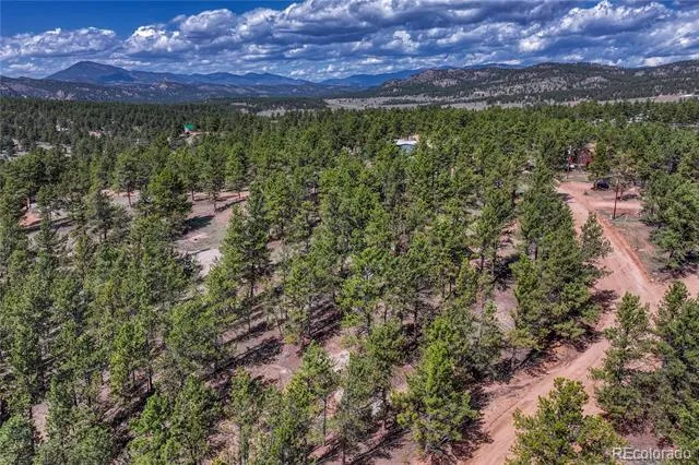 101 Dunlap Drive Florissant, CO 80816