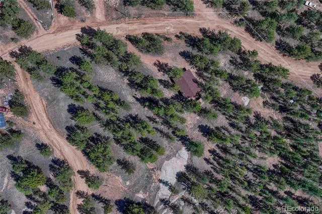 101 Dunlap Drive Florissant, CO 80816