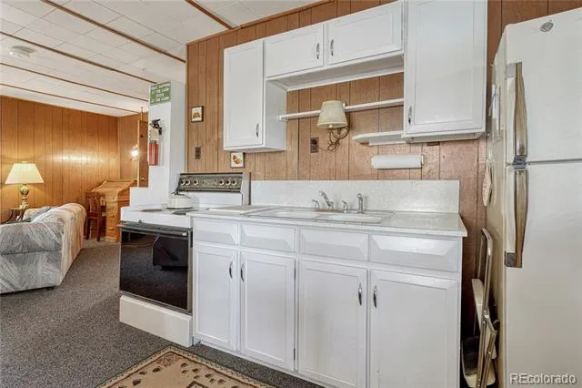 101 Dunlap Drive Florissant, CO 80816