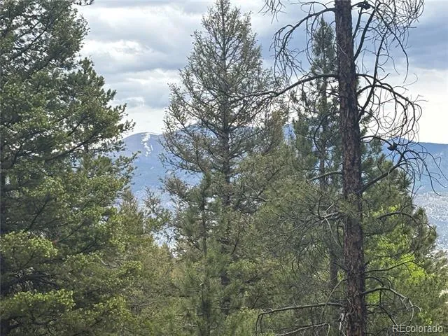30304 Aspen Turn Buena Vista, CO 81211
