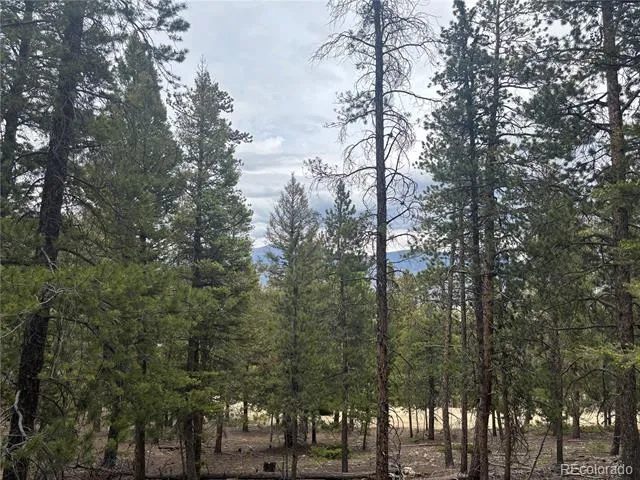 30304 Aspen Turn Buena Vista, CO 81211
